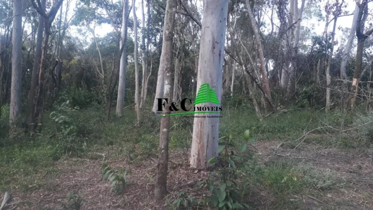 Imagem Terreno para Venda em Rio Claro, Área Rural de Rio Claro