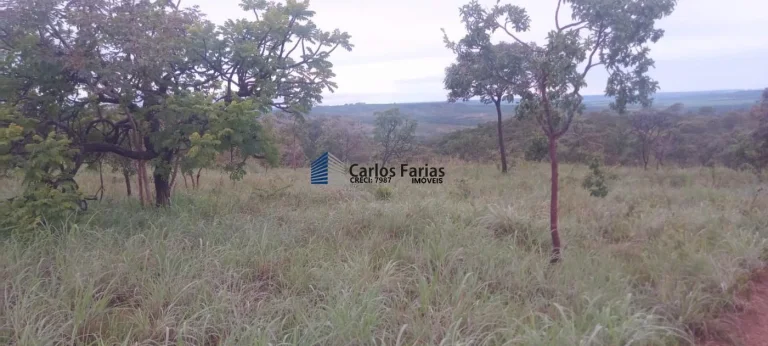 Imagem Chácara para Venda em Brasília, Setor Habitacional Tororó (Jardim Botânico), 1 dormitório, 1 banheiro, 2 vagas