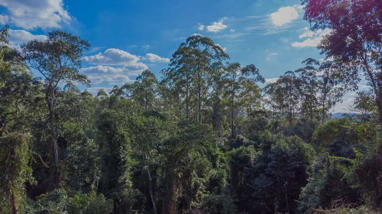Imagem Terreno à venda - Itapevi/SP