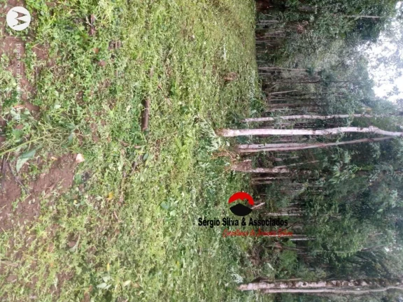 Imagem Terreno a Venda no Bairro do Centro em Piranguçu - MG.