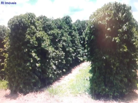 Imagem FAZENDA COMERCIAL em SÃO PAULO - SP, JARDIM SANTO ELIAS