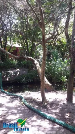 Imagem LINDA ÁREA EM CABRÁLIA