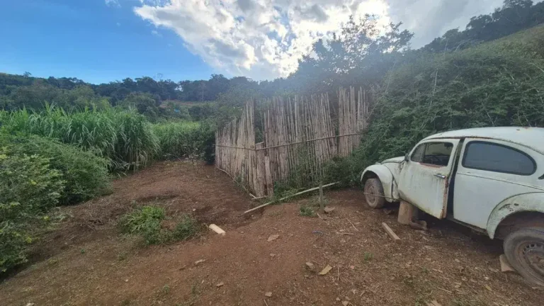 Imagem Sítio Encantador com Pomar, Solo Fértil e Construção Rústica em Antônio Carlo