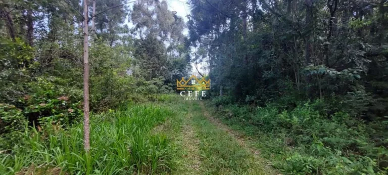 Imagem Chácara - Sítio com 3 Dormitorio(s) localizado(a) no bairro Recosta em São Francisco de Paula / RIO GRANDE DO SUL Ref.:1533