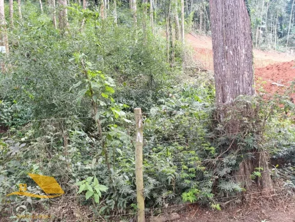 Imagem Vendo Terreno na Fazendo Bela Vista com 800 mts²