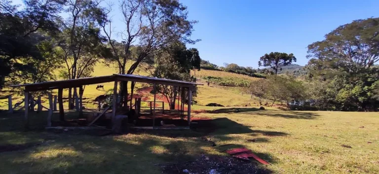 Imagem Chácara à venda em Cascavel - Área Rural com Energia Elétrica e Rio