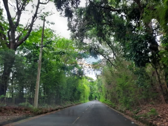 Imagem Chácara - Ribeirão Preto - Bonfim Paulista - Região Sul