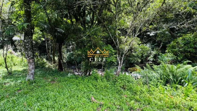 Imagem Chácara - Sítio com 3 Dormitorio(s) localizado(a) no bairro Serra Grande em Igrejinha / RIO GRANDE DO SUL Ref.:1594