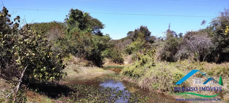 Imagem Propriedade Rural de Alto Padrão: Pronta para Produção e Investimento!