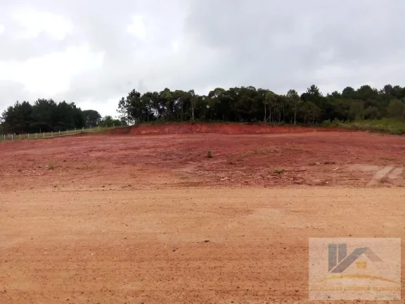 Imagem Terreno para Venda em São José dos Pinhais, Campo Largo da Roseira