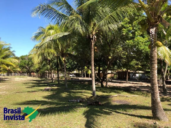 Imagem ÁREA PÉ NA AREIA NO EXTREMO SUL DA BAHIA