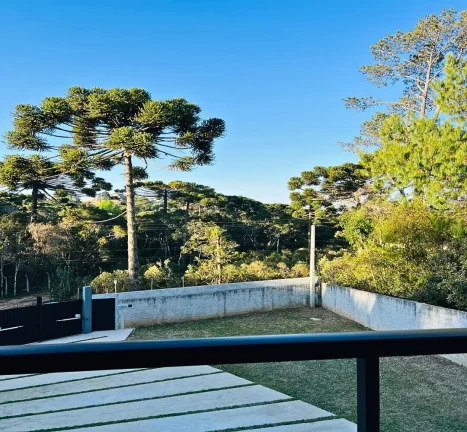Imagem Refúgio Contemporâneo na Vila Siomara: Design, Terreno Plano e o Silêncio das Araucárias
