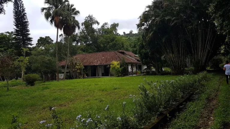 Imagem Fazenda à Venda, 840.000 m² em Mazomba - Itaguaí