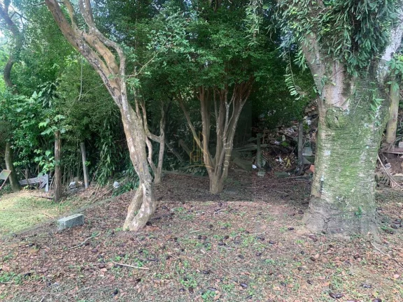 Imagem CHÁCARA 1.560M2 COM RESIDÊNCIA + GALPÃO 130M2 / EM ÁREA URBANA / DOC.100%