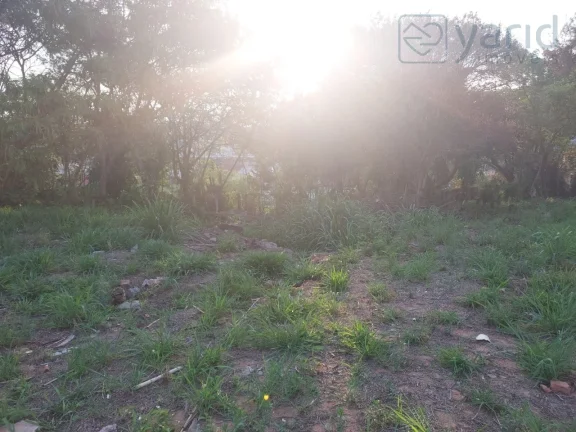 Imagem Terreno, Lote, Venda e Compra, Jardim Pacaembú, Jundiaí