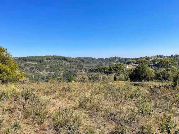 Imagem Terreno 5.268 m² no Alto da Boa Vista em Campos do Jordão com ZR3