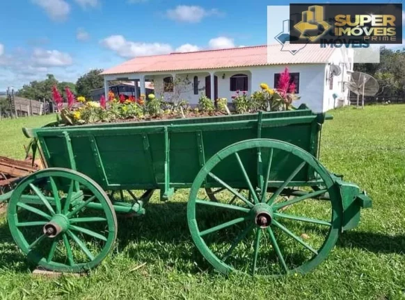 Imagem Sítio para Venda em Centro Morro Redondo-RS - 1645
