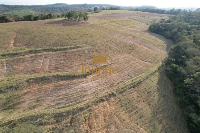 Imagem Área Industrial à venda em Centro (Cocaes) - Sarapuí/SP