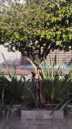 Imagem Casa com 4 Quartos à Venda, 280 m² em Santa Rosa - Sarzedo