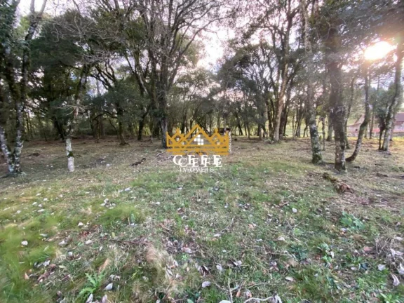 Imagem Chácara - Sítio com 1 Dormitorio(s) localizado(a) no bairro Serra Grande em Igrejinha / RIO GRANDE DO SUL Ref.:1388