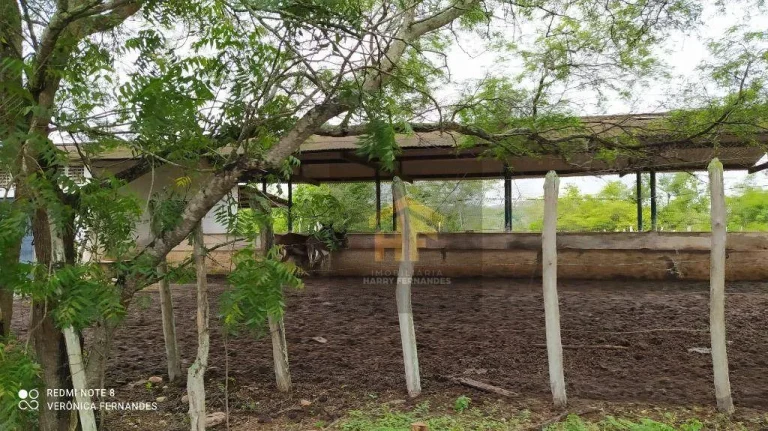 Imagem Fazenda com terreno de 14.888 hectares à venda em Paudalho, Pernambuco