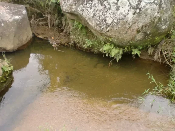 Imagem Sitio com 180.000 m², com 2 lagoas em Camboriú/SC