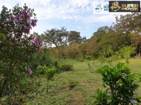 Imagem Chácara 3 hectares para Venda na BR em Cascata Pelotas-RS
