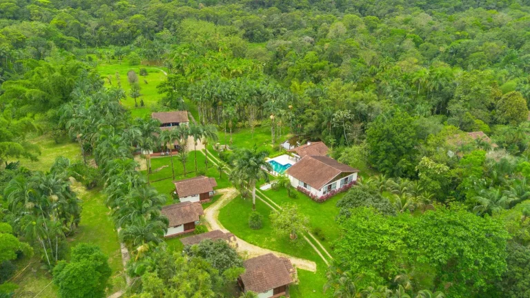 Imagem Chácara 81.756,00 m2 Porto de Cima