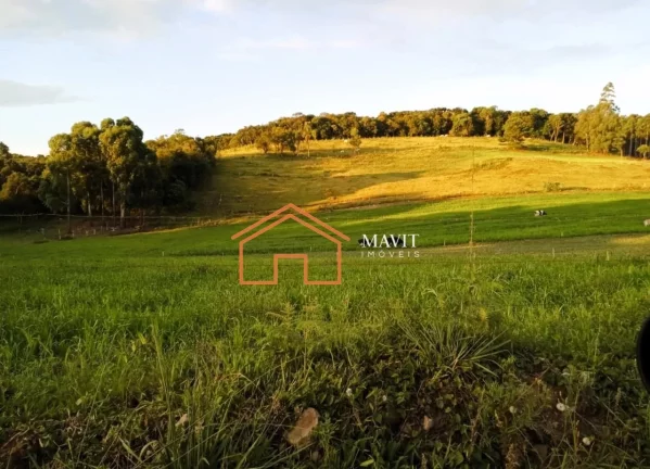 Imagem CHACARA RURAL em ANITA GARIBALDI - SC, Interior