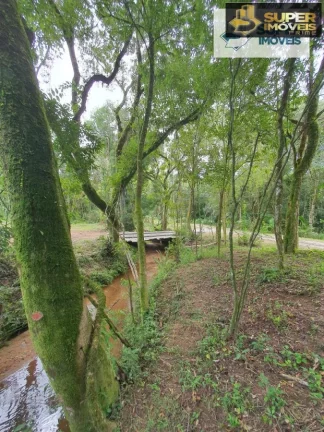 Imagem Chácara 3 hectares para Venda na BR em Cascata Pelotas-RS