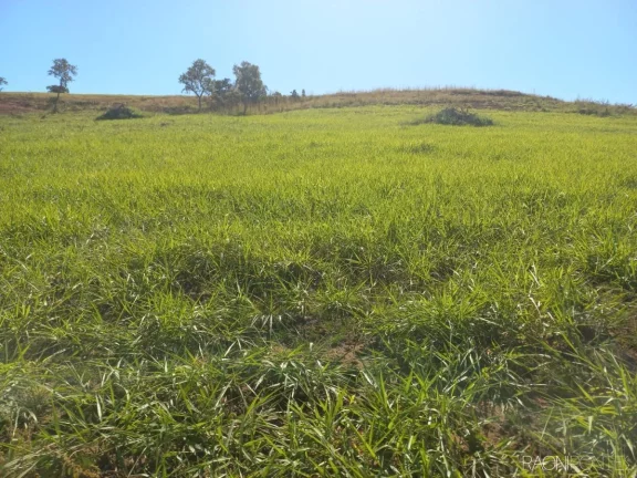 Imagem Fazenda à Venda, 10.000.000 m² em Zona Rural - Camapuã