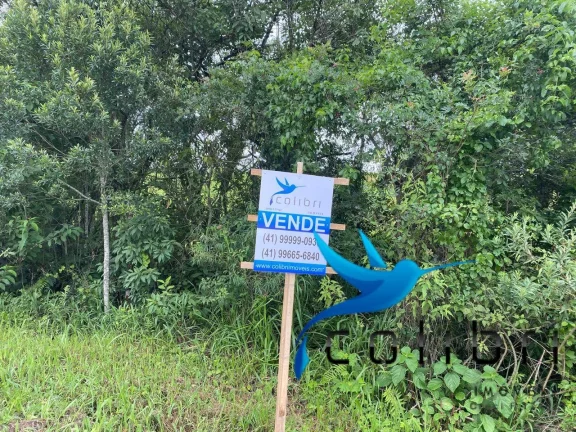 Imagem Chácara à Venda, 20.637 m² em Lagoa Dos Pretos - Agudos Do Sul