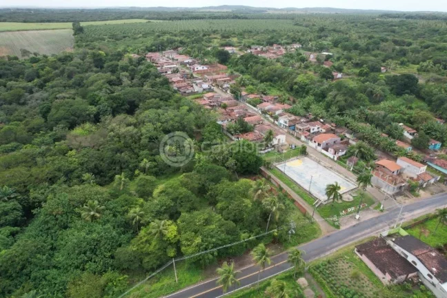 Imagem Área à Venda – Nísia Floresta / RN - 12,1 Ha