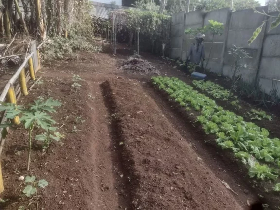 Imagem Chácara com 2 dormitórios à venda, 1500 m² por R$ 500.000,00 - Raffo - Suzano/SP