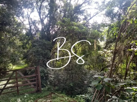 Imagem SITIO RESIDENCIAL em TRÊS COROAS - RS, Linha 28