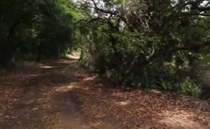 Imagem SITIO RESIDENCIAL em GUARAPARI - ES, PEROCÃO