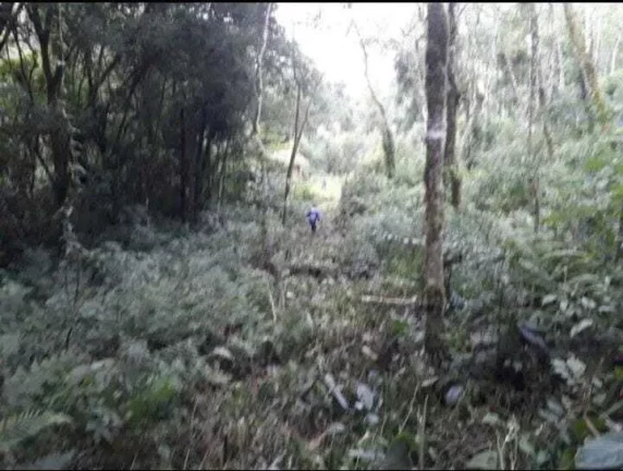 Imagem Chácara à venda em Campo Largo/PR