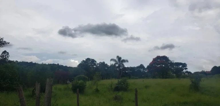 Imagem Lote à venda – 5.334,41 m2 – Colônia Rodrigo Silva