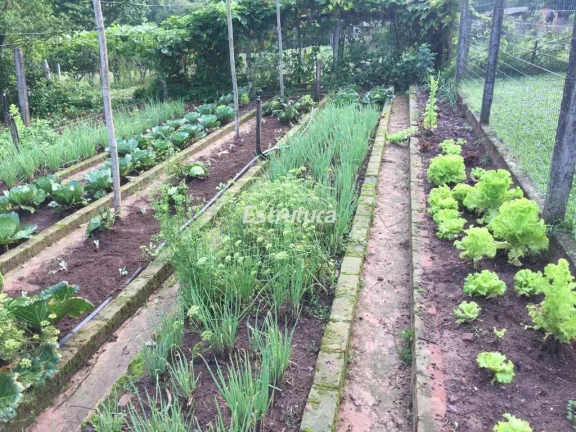Imagem Sítio maravilhoso com 47 hectares de natureza exuberante!