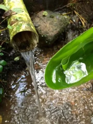 Imagem Sítio à venda em Piedade-SP, bairro Piedade, com 0,01 m² de área: oportunidade imperdível!