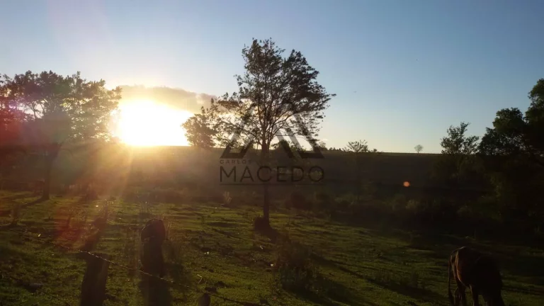 Imagem OPORTUNIDADE!!! Linda chácara em Cesário Lange/SP