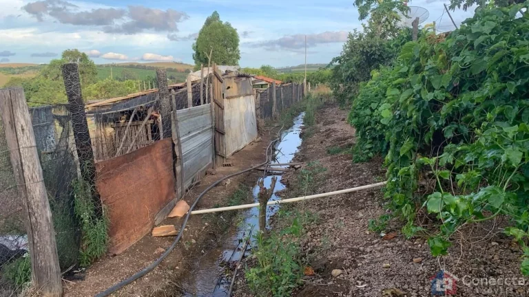 Imagem Sítio à Venda na Comunidade Caixetas – Guimarânia-MG | 11,9 Hectares com Casa de 186m² – R$ 700 Mil