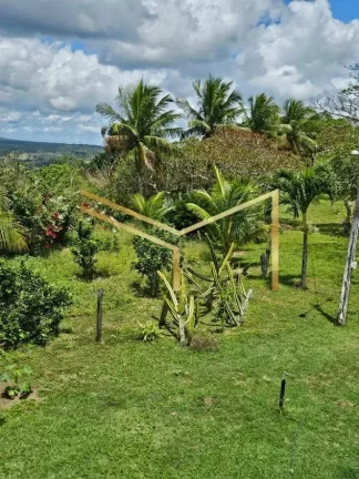 Imagem Sítio ideal para quem quer investir ou desfrutar de um lugar em contato com a natureza!