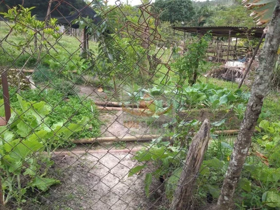 Imagem Sítio à venda, 72000 m² por R$ 400.000,00 - Padre André - Jacupiranga/SP