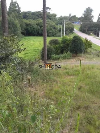 Imagem Chácara à Venda, 15 m² em Piên