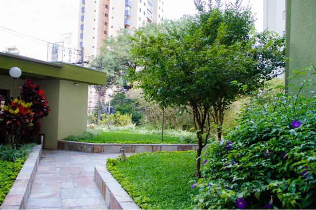 Imagem Apartamento com 2 Quartos à Venda, 50 m² em Vila Mascote - São Paulo