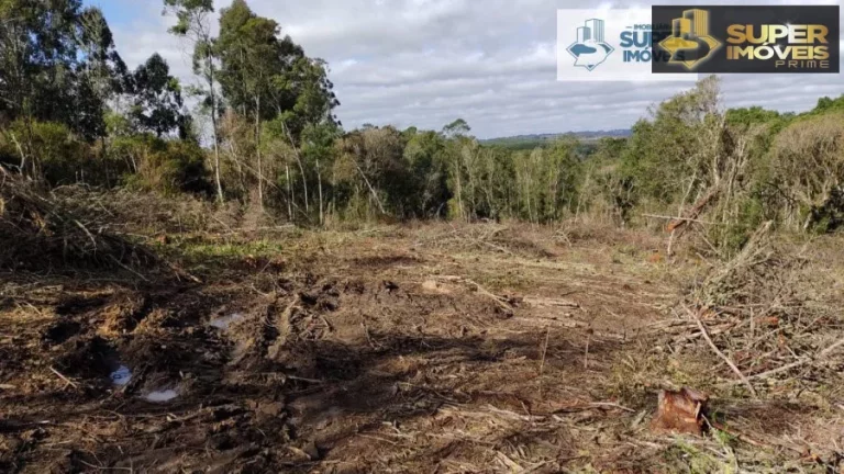 Imagem Fazenda para Venda em Canguçu-RS