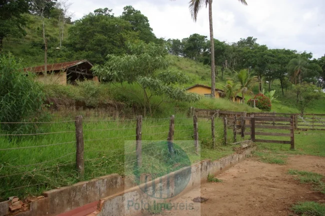 Imagem Fazenda em Cajuru 65,2254 alqueires com 35 alqueires em cana - a 78 km de Ribeirão Preto - SP sentido Casa Branca
