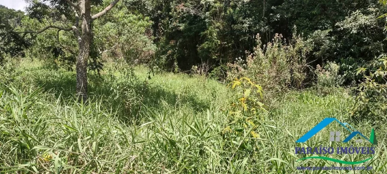 Imagem Paraíso Ecológico: Terreno com Nascente Própria e Vista para as Montanhas.