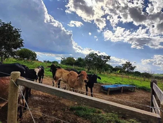 Imagem Sítio à Venda a 15 km de Luziânia!